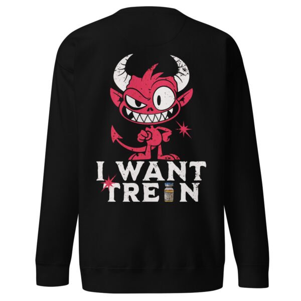 Sudadera gruesa I want tren